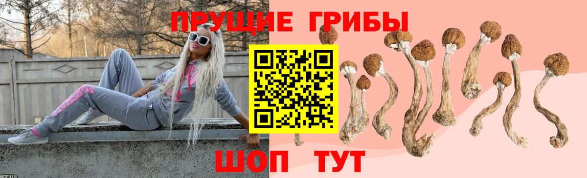 купить наркотик  Вход с VPN  Мичуринск  Галлюциногенные грибы ЛСД 